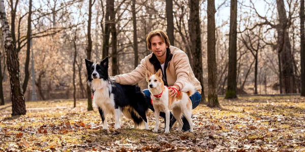 Где сделать бесплатную прививку против бешенства