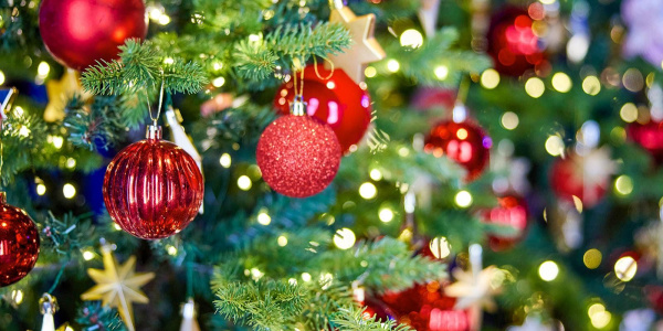 Сдать новогоднюю елку на экологичную утилизацию поможет сервис «Вывоз ненужных вещей» на mos.ru