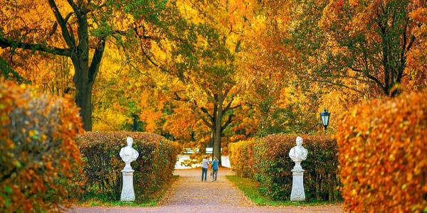 Идеи для досуга в осенней Москве