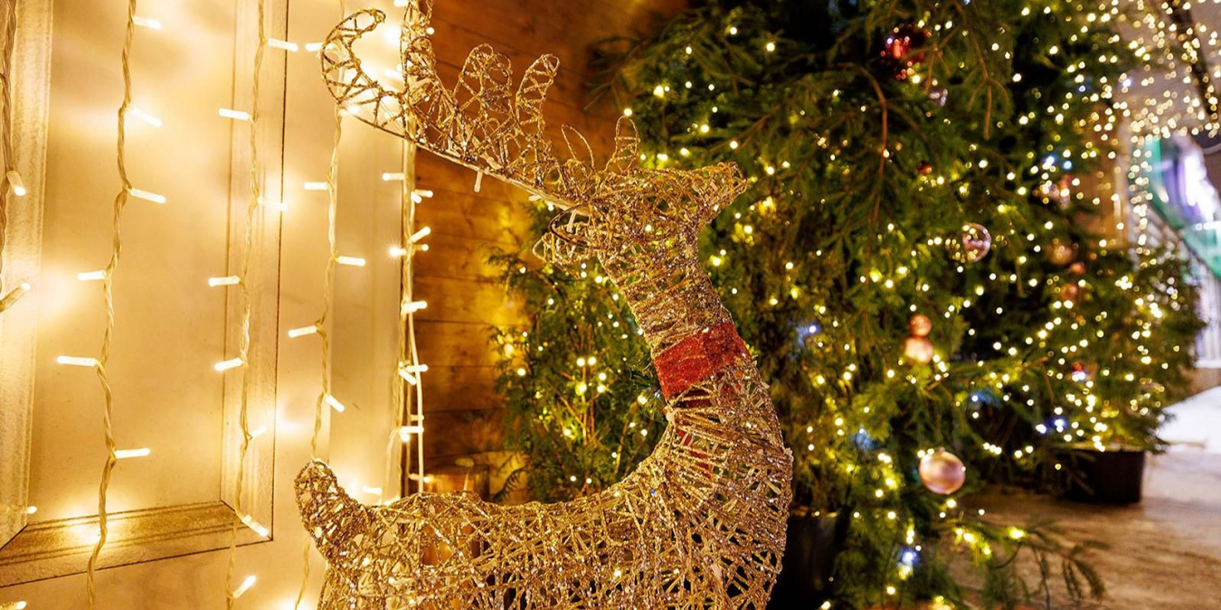 Портал потребителя поможет выбрать пушистую елку и новогодние подарки