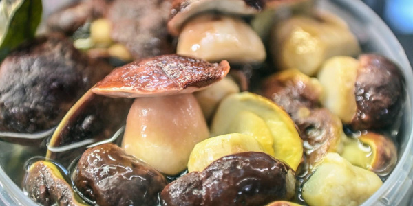 На московских ярмарках появились соленые грибы