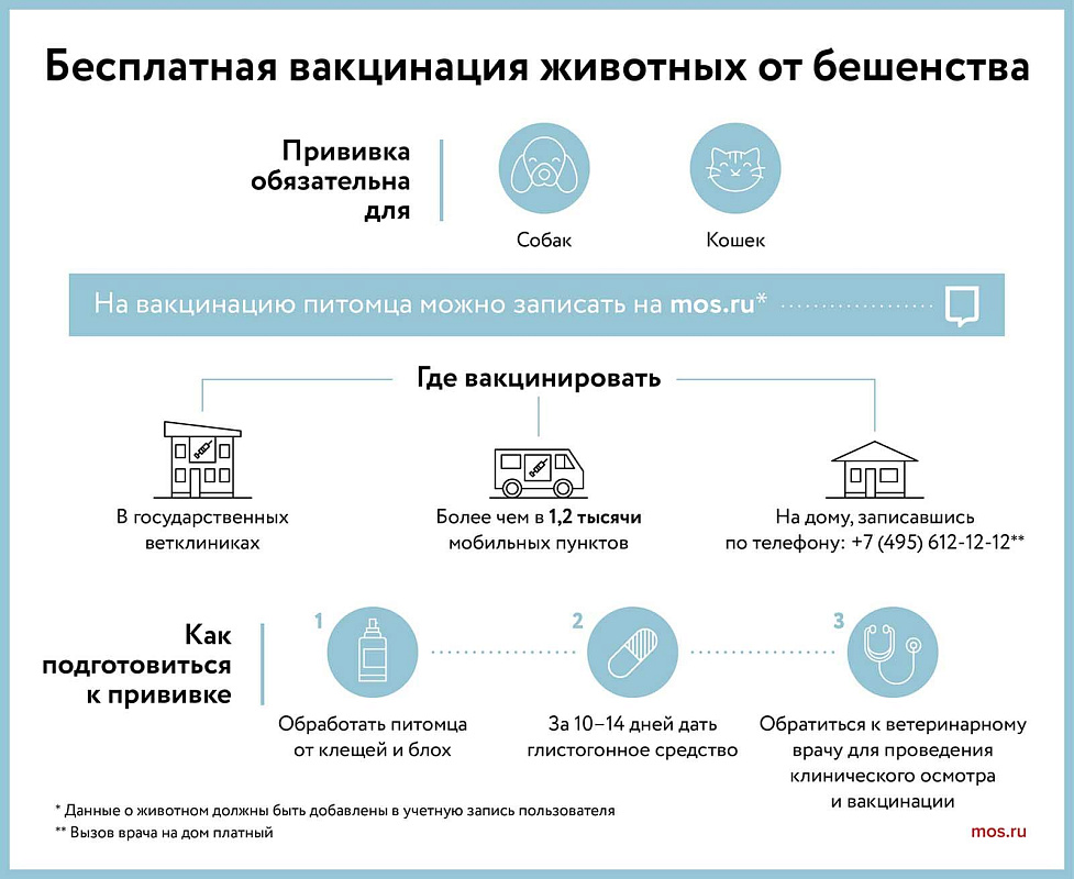 Где сделать бесплатную прививку против бешенства