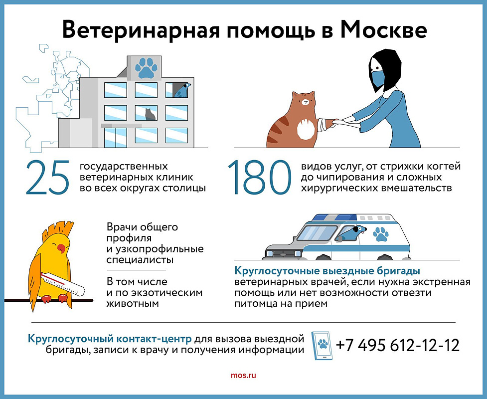 Государственная ветеринарная служба Москвы помогает животным уже более 90 лет