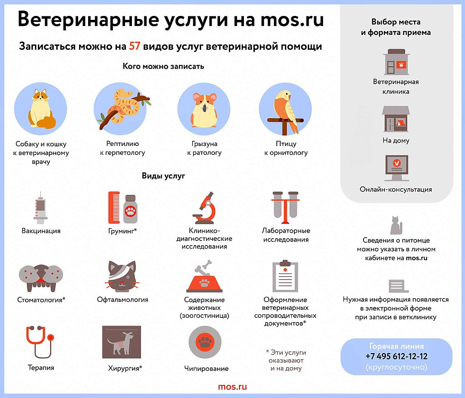 Москвичам напомнили, как правильно подготовиться к путешествию с питомцем